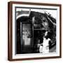 Brown Frame
