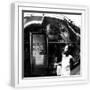 White Frame