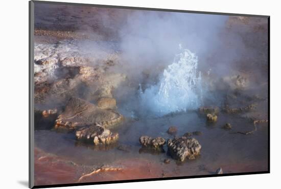 Fumarole Erupting at El Tatio Geyser in the Atacama, Chile-Mallorie Ostrowitz-Mounted Photographic Print