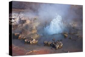 Fumarole Erupting at El Tatio Geyser in the Atacama, Chile-Mallorie Ostrowitz-Stretched Canvas