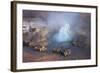 Fumarole Erupting at El Tatio Geyser in the Atacama, Chile-Mallorie Ostrowitz-Framed Photographic Print