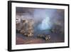 Fumarole Erupting at El Tatio Geyser in the Atacama, Chile-Mallorie Ostrowitz-Framed Photographic Print