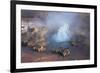 Fumarole Erupting at El Tatio Geyser in the Atacama, Chile-Mallorie Ostrowitz-Framed Photographic Print