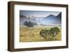 Fumo Valley, Adamello-Brenta Natural Park, Trentino Alto Adige, Italy. Sunrise with Fog In-ClickAlps-Framed Photographic Print