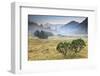 Fumo Valley, Adamello-Brenta Natural Park, Trentino Alto Adige, Italy. Sunrise with Fog In-ClickAlps-Framed Photographic Print