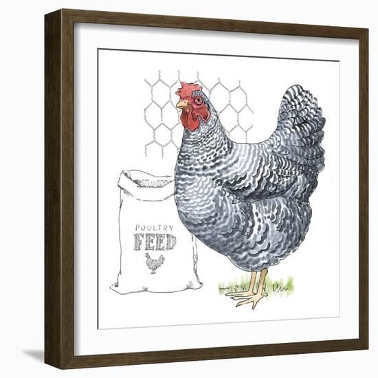 Fun at the Coop III v2-Beth Grove-Framed Art Print