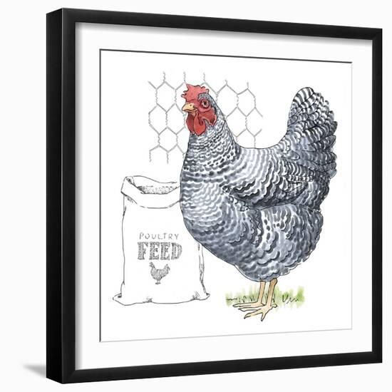 Fun at the Coop III v2-Beth Grove-Framed Art Print