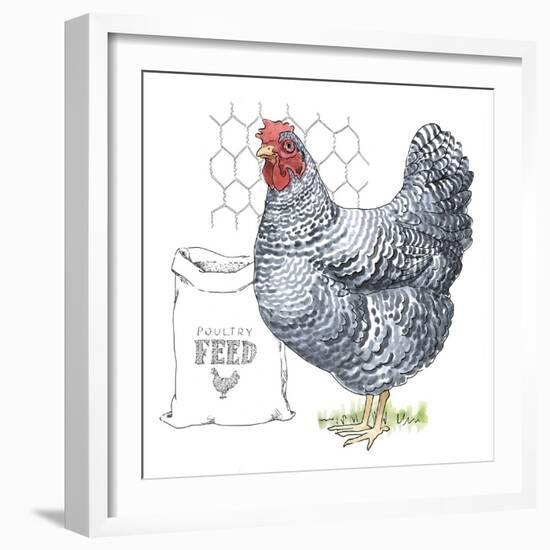 Fun at the Coop III v2-Beth Grove-Framed Art Print