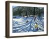 Fun in the Snow, Morzine, France-Andrew Macara-Framed Giclee Print