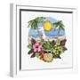 Fun in the Sun-Kathleen Parr McKenna-Framed Art Print