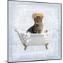 Fun Kitty Bath 2-Marcus Prime-Mounted Art Print