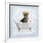 Fun Kitty Bath 2-Marcus Prime-Framed Art Print