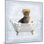 Fun Kitty Bath 2-Marcus Prime-Mounted Art Print