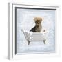 Fun Kitty Bath 2-Marcus Prime-Framed Art Print