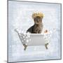 Fun Kitty Bath 2-Marcus Prime-Mounted Art Print