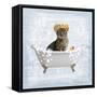 Fun Kitty Bath 2-Marcus Prime-Framed Stretched Canvas