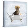 Fun Kitty Bath 2-Marcus Prime-Stretched Canvas