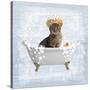 Fun Kitty Bath 2-Marcus Prime-Stretched Canvas