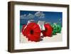 Fun Things Seven Miles Beach Grand Cayman-George Oze-Framed Photographic Print