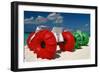 Fun Things Seven Miles Beach Grand Cayman-George Oze-Framed Photographic Print