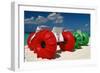 Fun Things Seven Miles Beach Grand Cayman-George Oze-Framed Photographic Print