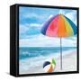 Fun Times I-Julie DeRice-Framed Stretched Canvas