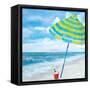 Fun Times II-Julie DeRice-Framed Stretched Canvas