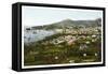 Funchal, Madeira, Early 20th Century-null-Framed Stretched Canvas