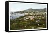 Funchal, Madeira, Early 20th Century-null-Framed Stretched Canvas