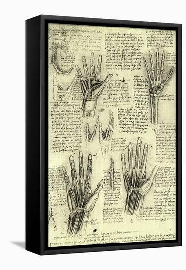 Functions of Human Hand-Leonardo da Vinci-Framed Stretched Canvas