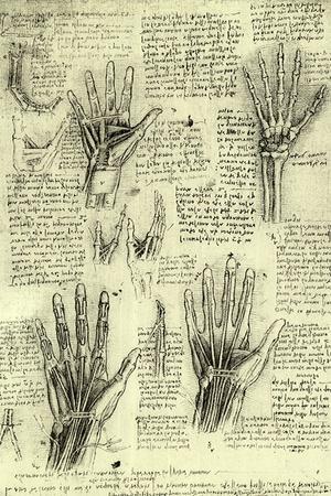 https://imgc.allpostersimages.com/img/posters/functions-of-human-hand_u-L-Q1I5GN50.jpg?artPerspective=n