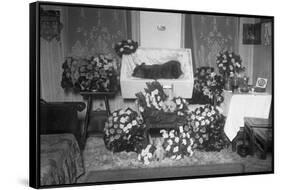 Funeral for Pet Bulldog-null-Framed Stretched Canvas