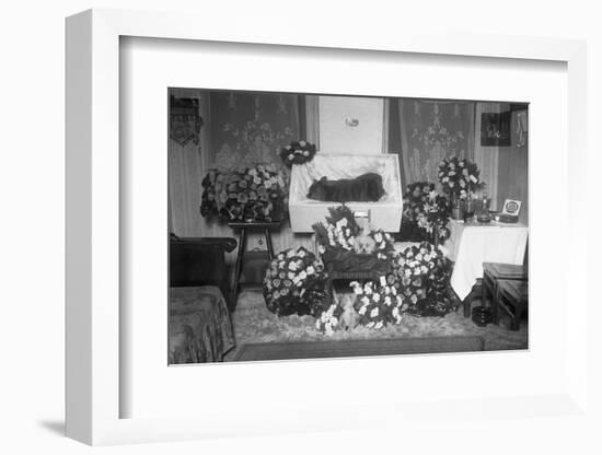 Funeral for Pet Bulldog-null-Framed Photographic Print