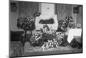 Funeral for Pet Bulldog-null-Mounted Photographic Print