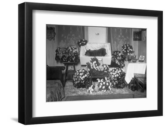 Photographic Print, , large