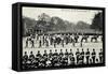 Funeral of King Edward 7, 20th May 1910, Gun Carriage-null-Framed Stretched Canvas
