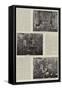 Funeral of the Comte De Paris-null-Framed Stretched Canvas