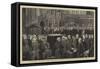 Funeral of the Late Charles Robert Darwin in Westminster Abbey-null-Framed Stretched Canvas