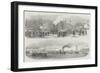 Funeral of the Late Lord Raglan-null-Framed Giclee Print