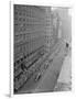 Gramercy White