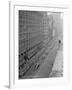 Gramercy White