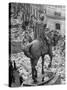 Funeral Wreaths for Evita Peron Cover Street Beneath Statue of Julio Argentino Roca-Alfred Eisenstaedt-Stretched Canvas