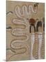 Funerary Papyrus from 18th Dynasty-null-Mounted Premium Giclee Print