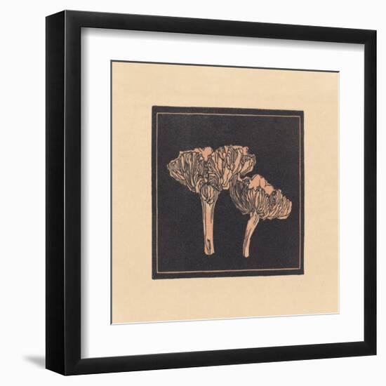 Funghi Collector-Julie de Graag-Framed Premium Giclee Print