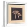 Funghi Collector-Julie de Graag-Framed Premium Giclee Print