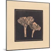 Funghi Collector-Julie de Graag-Mounted Premium Giclee Print