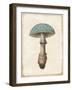 Funghi Velenosi Blue Green-Wild Apple Portfolio-Framed Art Print