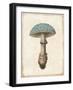 Funghi Velenosi Blue Green-Wild Apple Portfolio-Framed Art Print