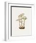 Fungi Folio - Wander-The Drammis Collection-Framed Art Print