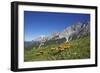 Fungi in the Grass of the Marienberg Alp Near Biberwier in Tyrol, Mountaintop-Uwe Steffens-Framed Photographic Print